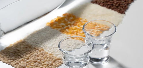 新周期之下,酒企如何找準(zhǔn)場 找對人